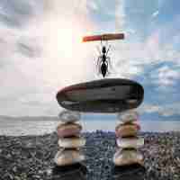 精‍准‌搜‍索‍信​息‌